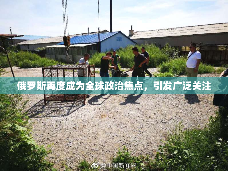 俄罗斯再度成为全球政治焦点，引发广泛关注