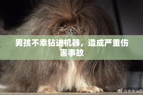 男孩不幸钻进机器，造成严重伤害事故