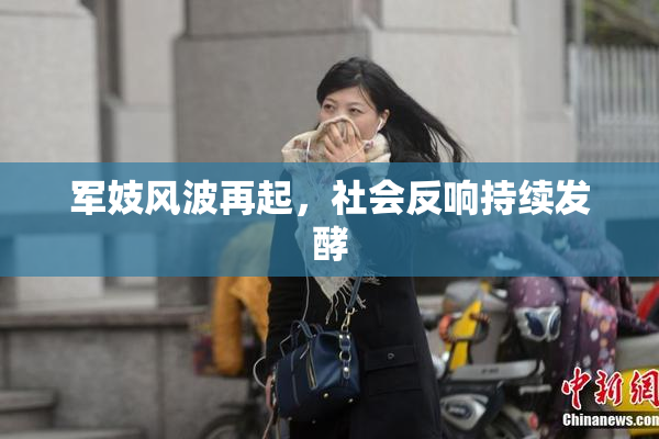 军妓风波再起，社会反响持续发酵