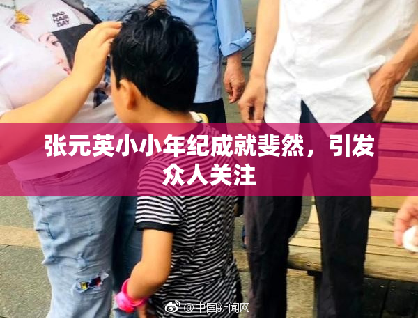张元英小小年纪成就斐然，引发众人关注