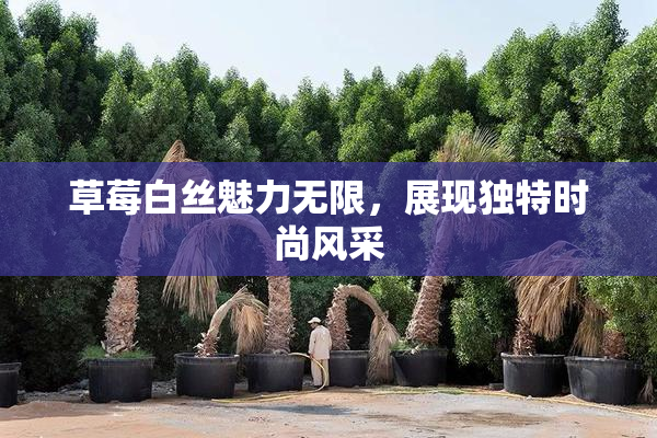 草莓白丝魅力无限，展现独特时尚风采