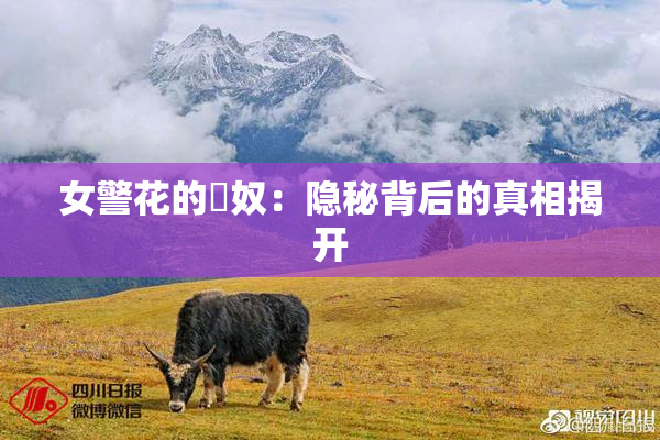 女警花的婬奴：隐秘背后的真相揭开