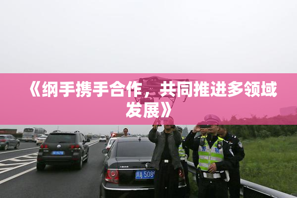 《纲手携手合作，共同推进多领域发展》