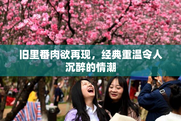 旧里番肉欲再现，经典重温令人沉醉的情潮