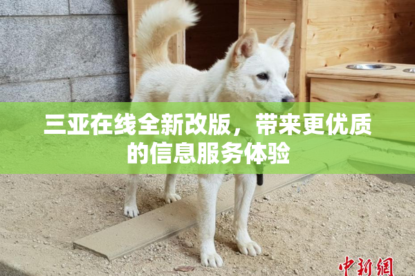 三亚在线全新改版，带来更优质的信息服务体验