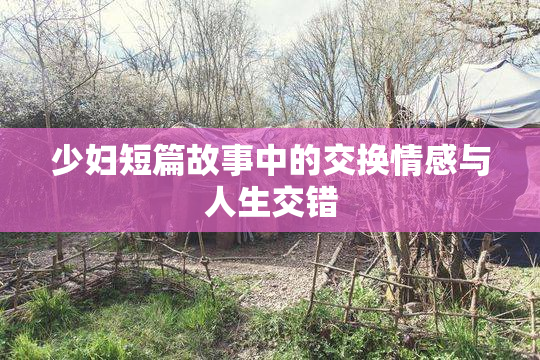 少妇短篇故事中的交换情感与人生交错