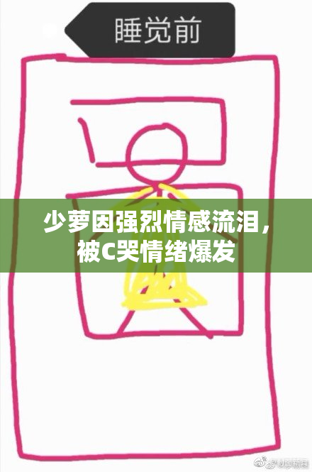 少萝因强烈情感流泪，被C哭情绪爆发