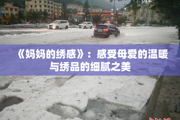 《妈妈的绣感》：感受母爱的温暖与绣品的细腻之美