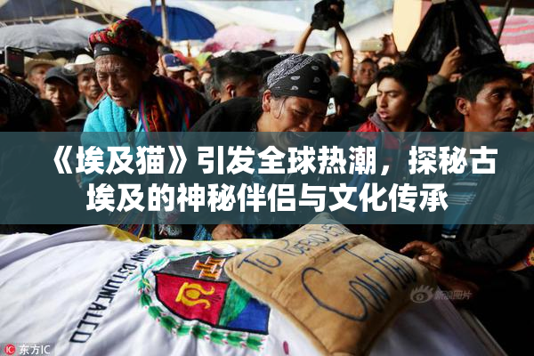 《埃及猫》引发全球热潮，探秘古埃及的神秘伴侣与文化传承
