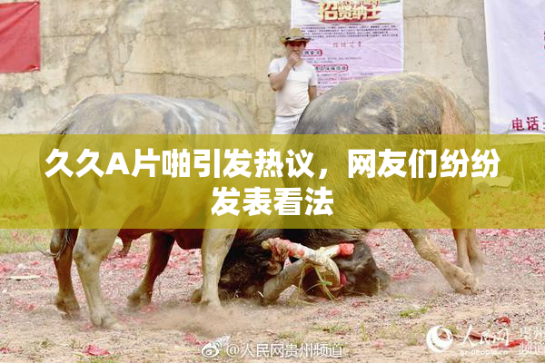 久久A片啪引发热议，网友们纷纷发表看法