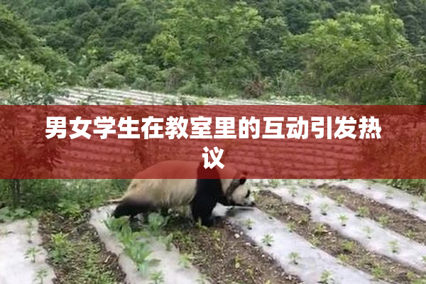 男女学生在教室里的互动引发热议