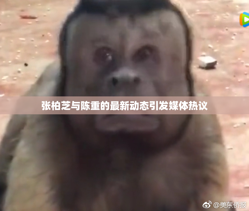 张柏芝与陈重的最新动态引发媒体热议