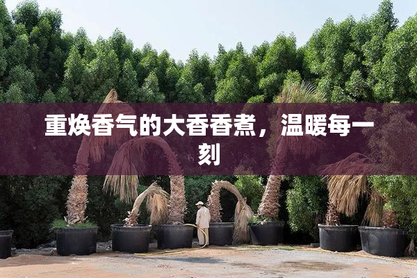 重焕香气的大香香煮，温暖每一刻