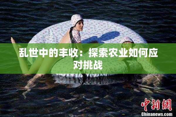 乱世中的丰收：探索农业如何应对挑战