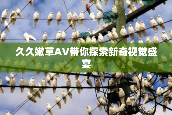 久久嫩草AV带你探索新奇视觉盛宴