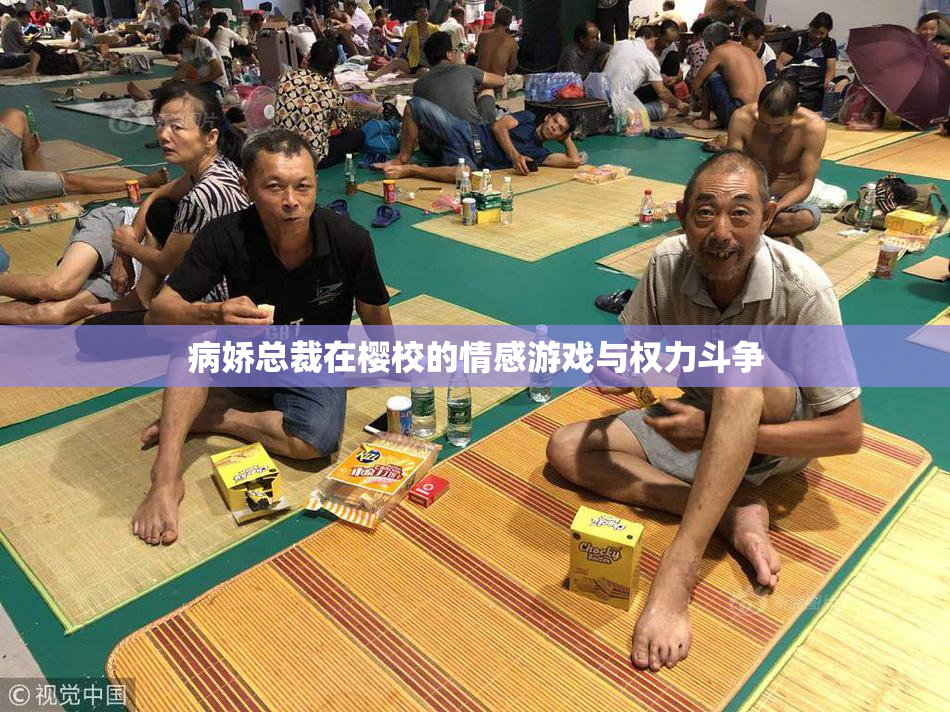 病娇总裁在樱校的情感游戏与权力斗争