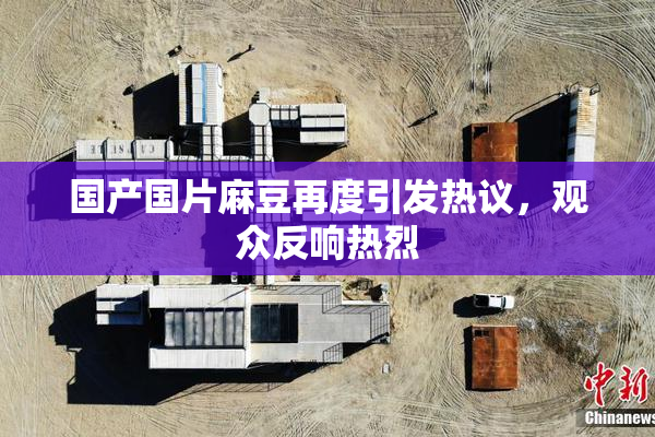 国产国片麻豆再度引发热议，观众反响热烈