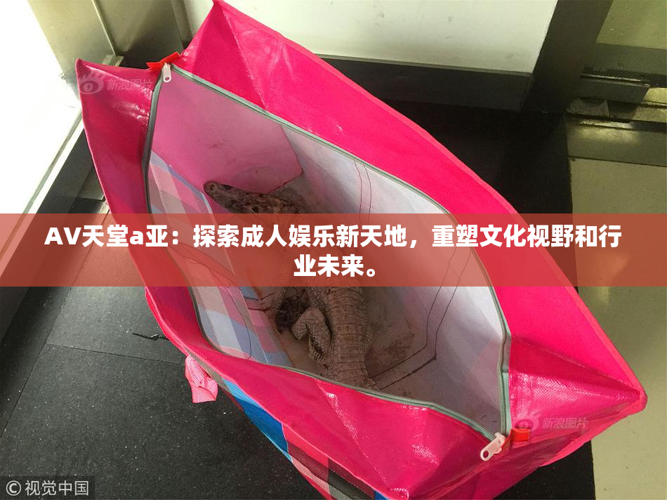 AV天堂a亚：探索成人娱乐新天地，重塑文化视野和行业未来。
