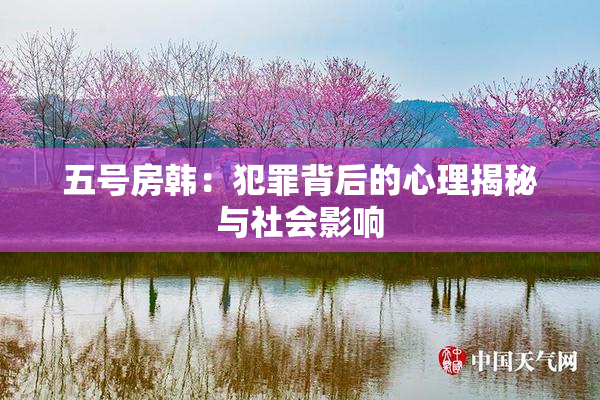 五号房韩：犯罪背后的心理揭秘与社会影响