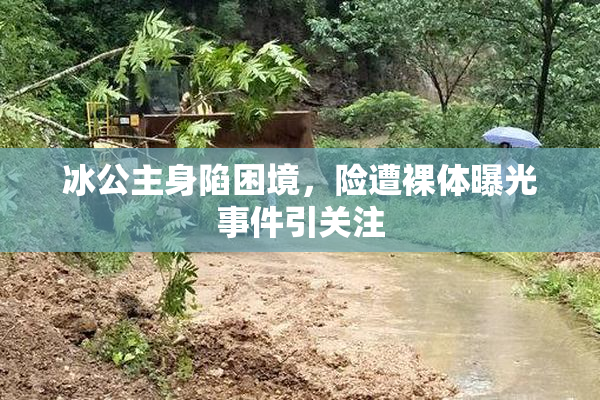 冰公主身陷困境，险遭裸体曝光事件引关注