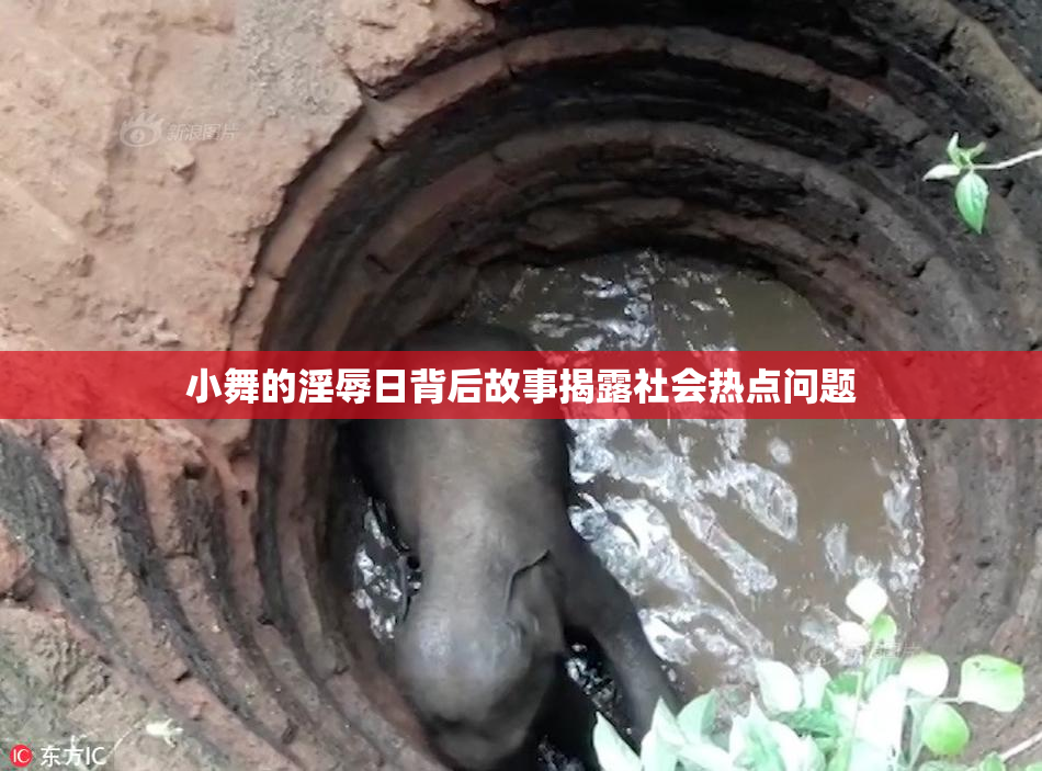 小舞的淫辱日背后故事揭露社会热点问题