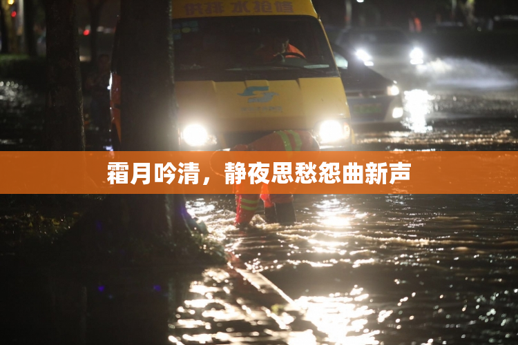 霜月吟清，静夜思愁怨曲新声