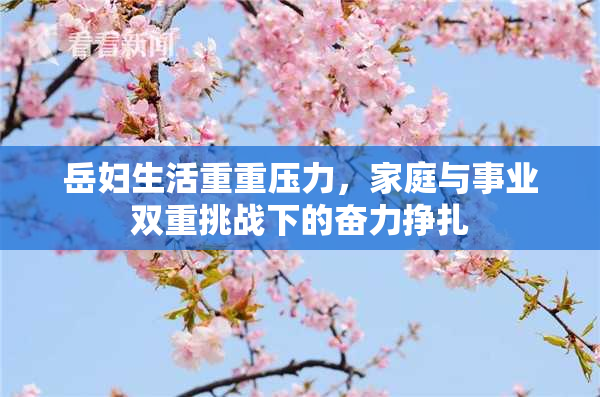 岳妇生活重重压力，家庭与事业双重挑战下的奋力挣扎