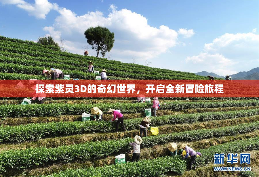 探索紫灵3D的奇幻世界，开启全新冒险旅程