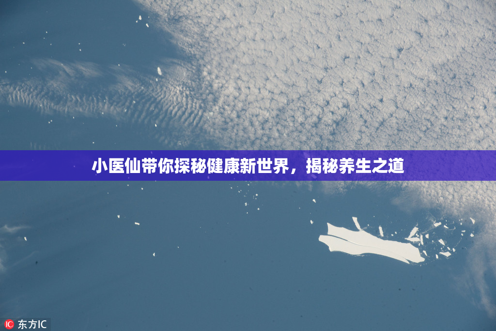 小医仙带你探秘健康新世界，揭秘养生之道