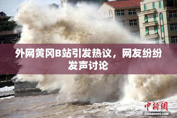 外网黄冈B站引发热议，网友纷纷发声讨论
