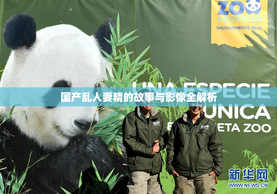 国产乱人妻精的故事与影像全解析