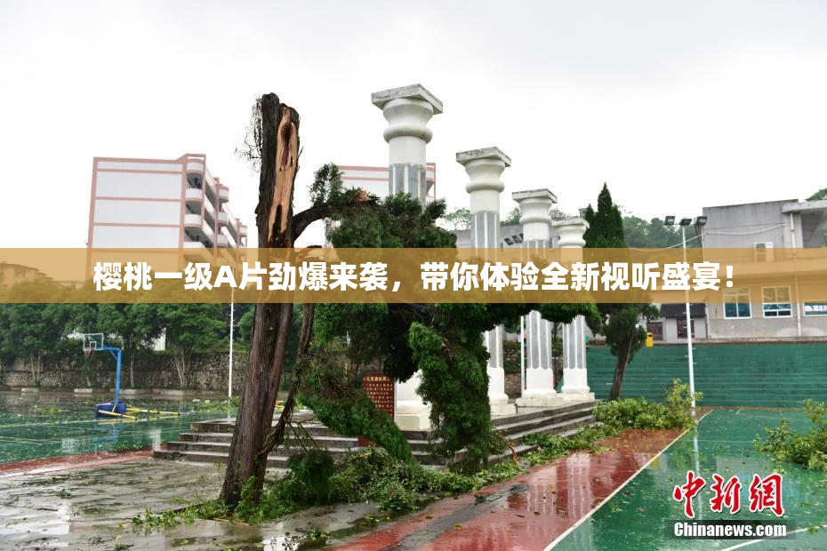 樱桃一级A片劲爆来袭，带你体验全新视听盛宴！
