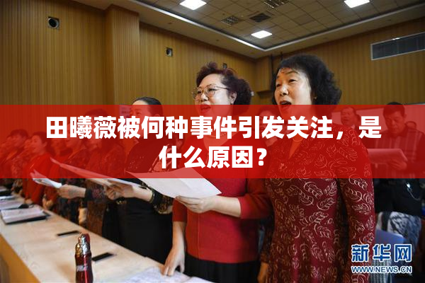 田曦薇被何种事件引发关注，是什么原因？