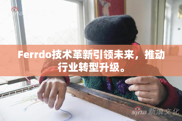 Ferrdo技术革新引领未来，推动行业转型升级。
