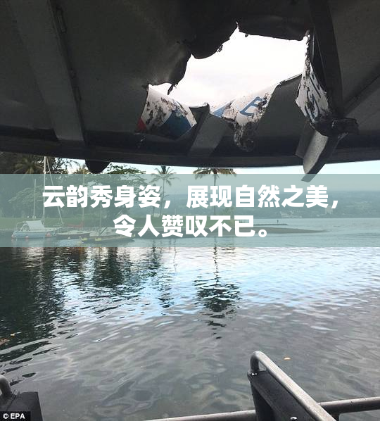 云韵秀身姿，展现自然之美，令人赞叹不已。