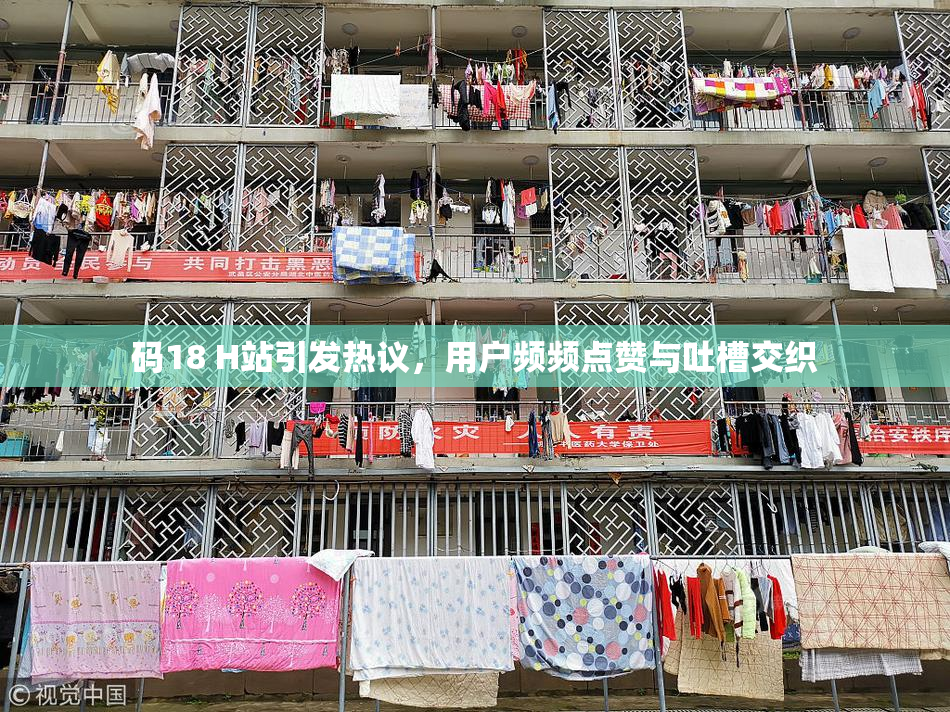 码18 H站引发热议，用户频频点赞与吐槽交织