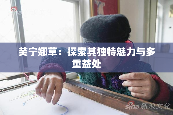 芙宁娜草：探索其独特魅力与多重益处
