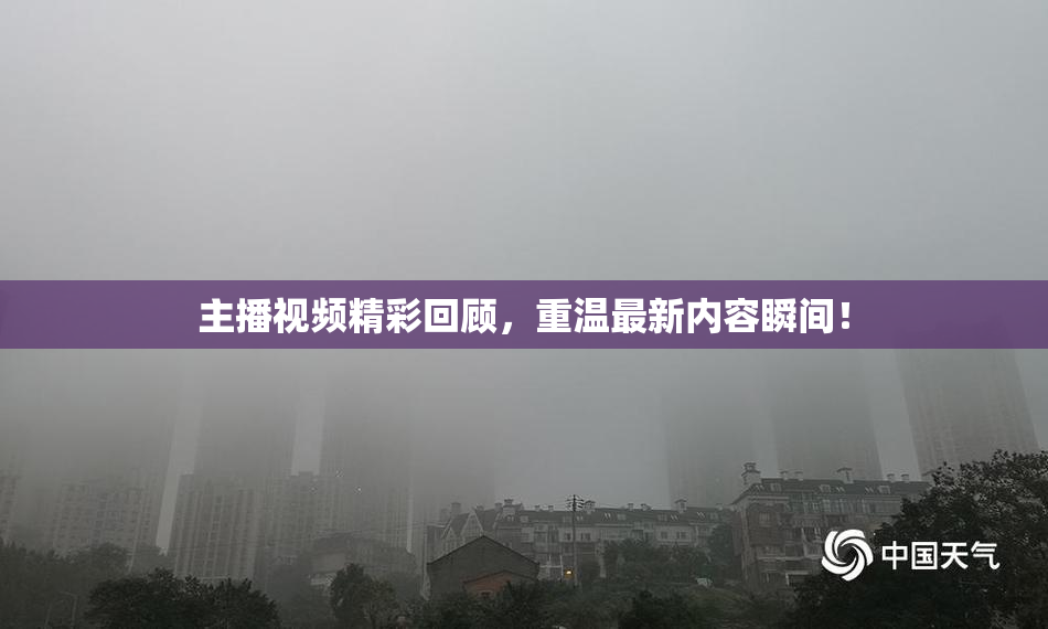 主播视频精彩回顾，重温最新内容瞬间！
