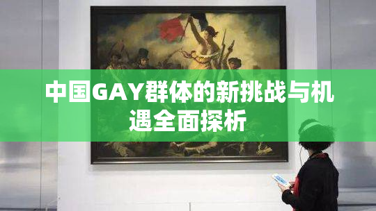 中国GAY群体的新挑战与机遇全面探析