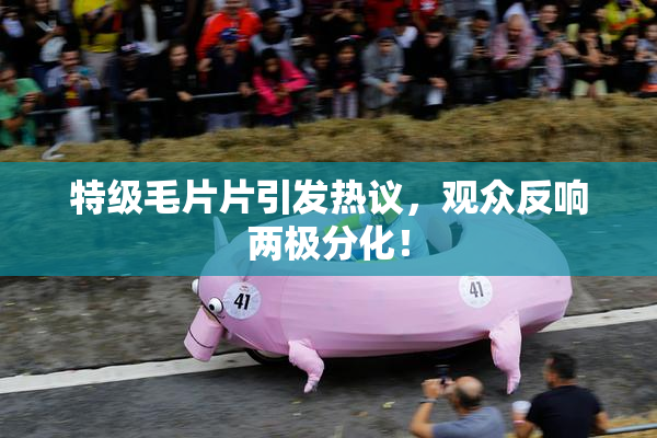 特级毛片片引发热议，观众反响两极分化！