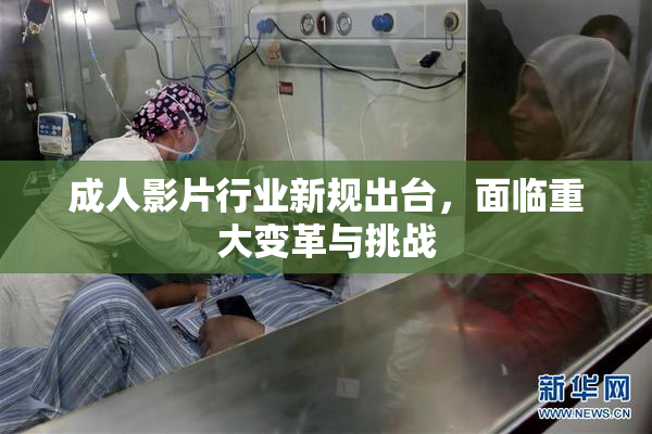 成人影片行业新规出台，面临重大变革与挑战