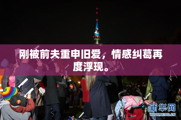 刚被前夫重申旧爱，情感纠葛再度浮现。