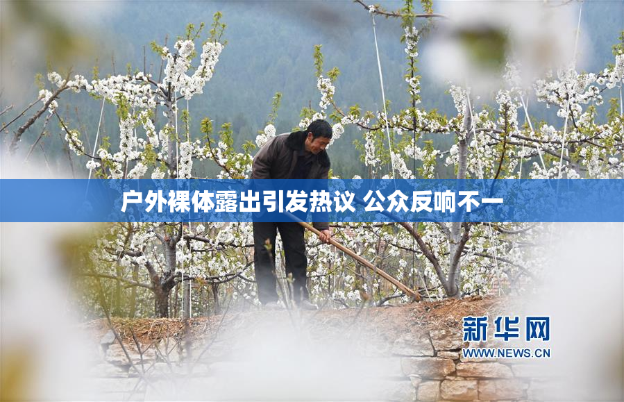 户外裸体露出引发热议 公众反响不一