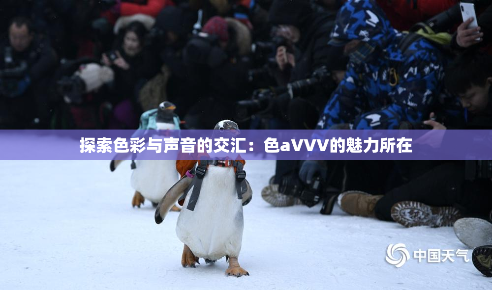 探索色彩与声音的交汇：色aVVV的魅力所在