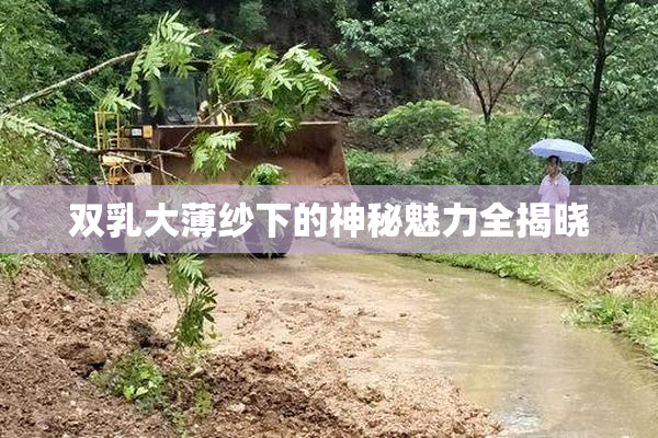 双乳大薄纱下的神秘魅力全揭晓