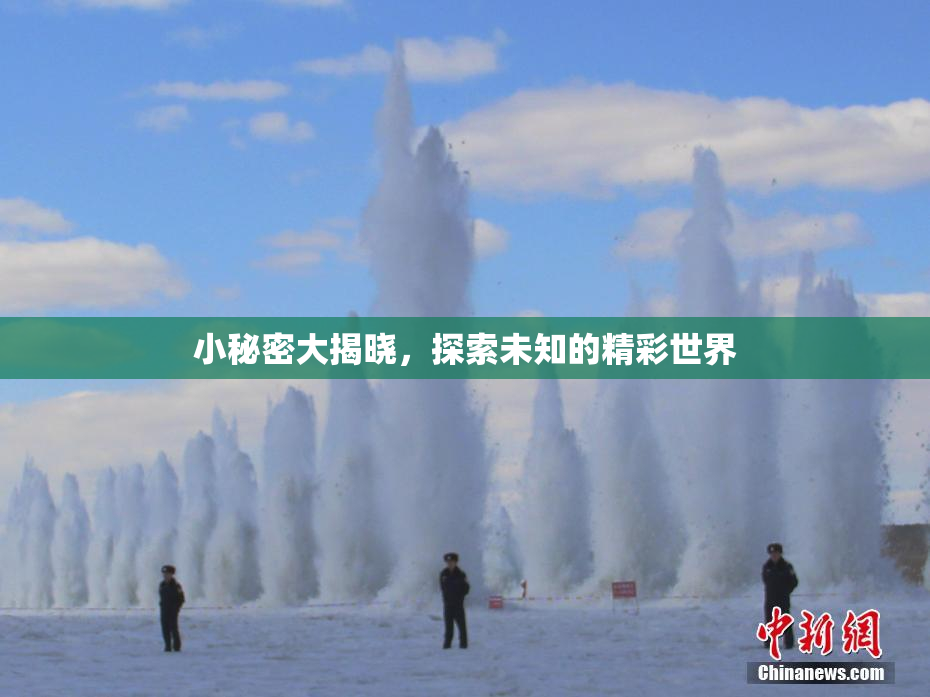 小秘密大揭晓，探索未知的精彩世界