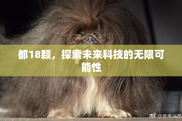 都18颗，探索未来科技的无限可能性