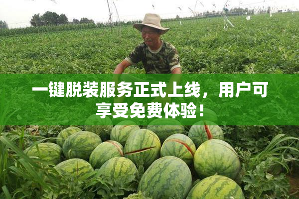 一键脱装服务正式上线，用户可享受免费体验！