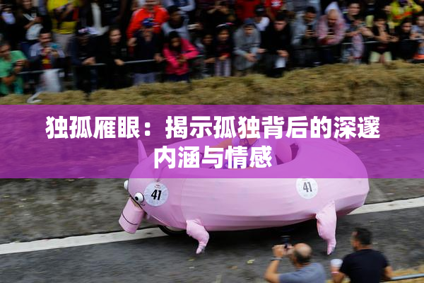 独孤雁眼：揭示孤独背后的深邃内涵与情感