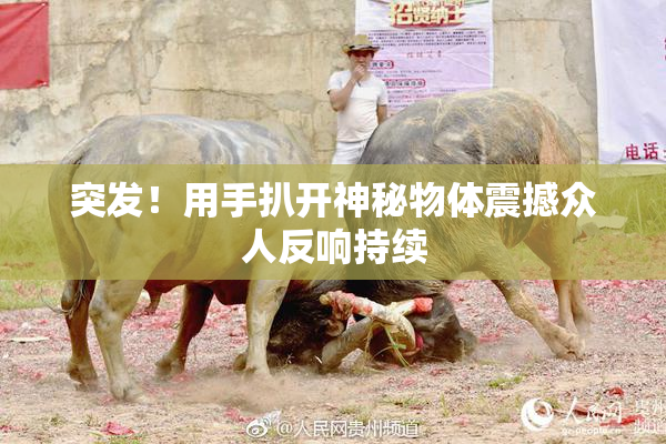 突发！用手扒开神秘物体震撼众人反响持续